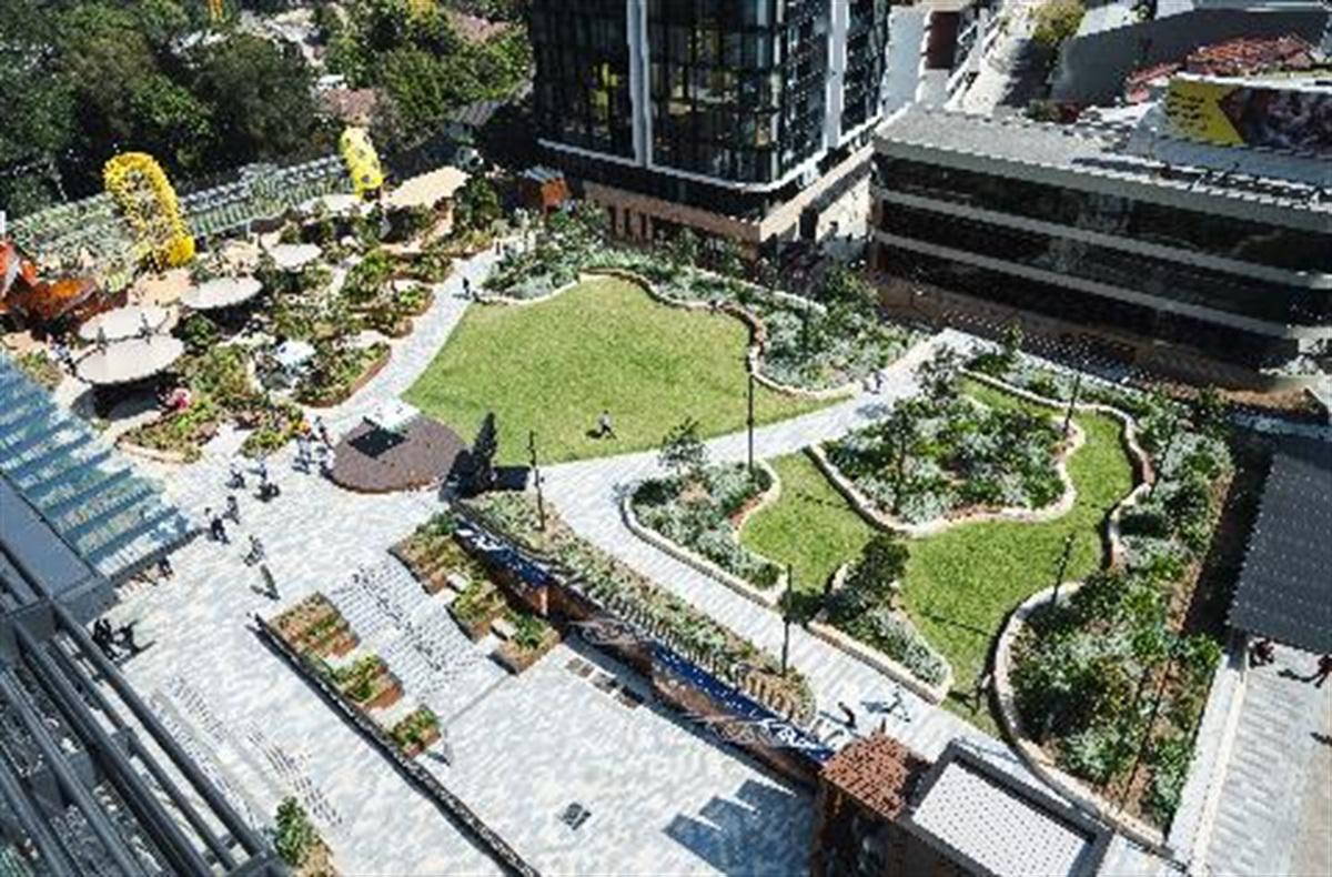 Wadanggari Park — St Leonards